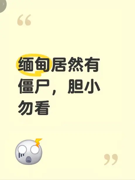 《缅甸僵尸出土事件》高清完整版在线免费播放-缅北神秘事件真相揭秘-全程录像无删减版本-缅甸僵尸出土事件视频在线观看