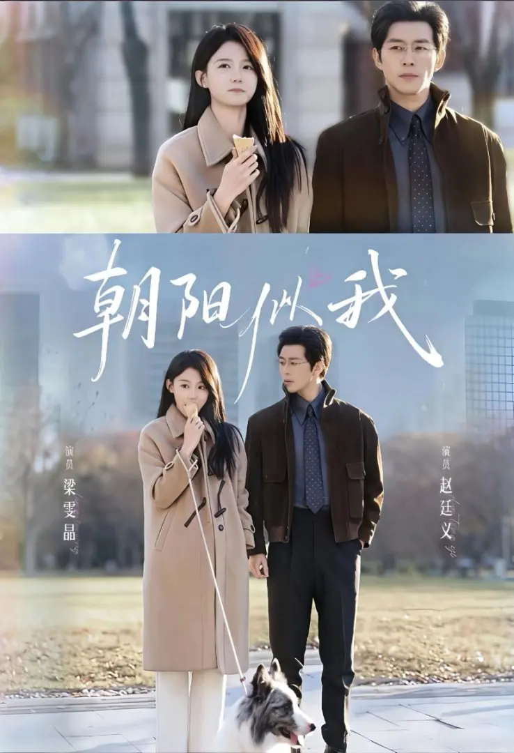《朝阳似我》全81集高清短剧 - 无广告免费观看未删减 - 百度网盘资源极速下载