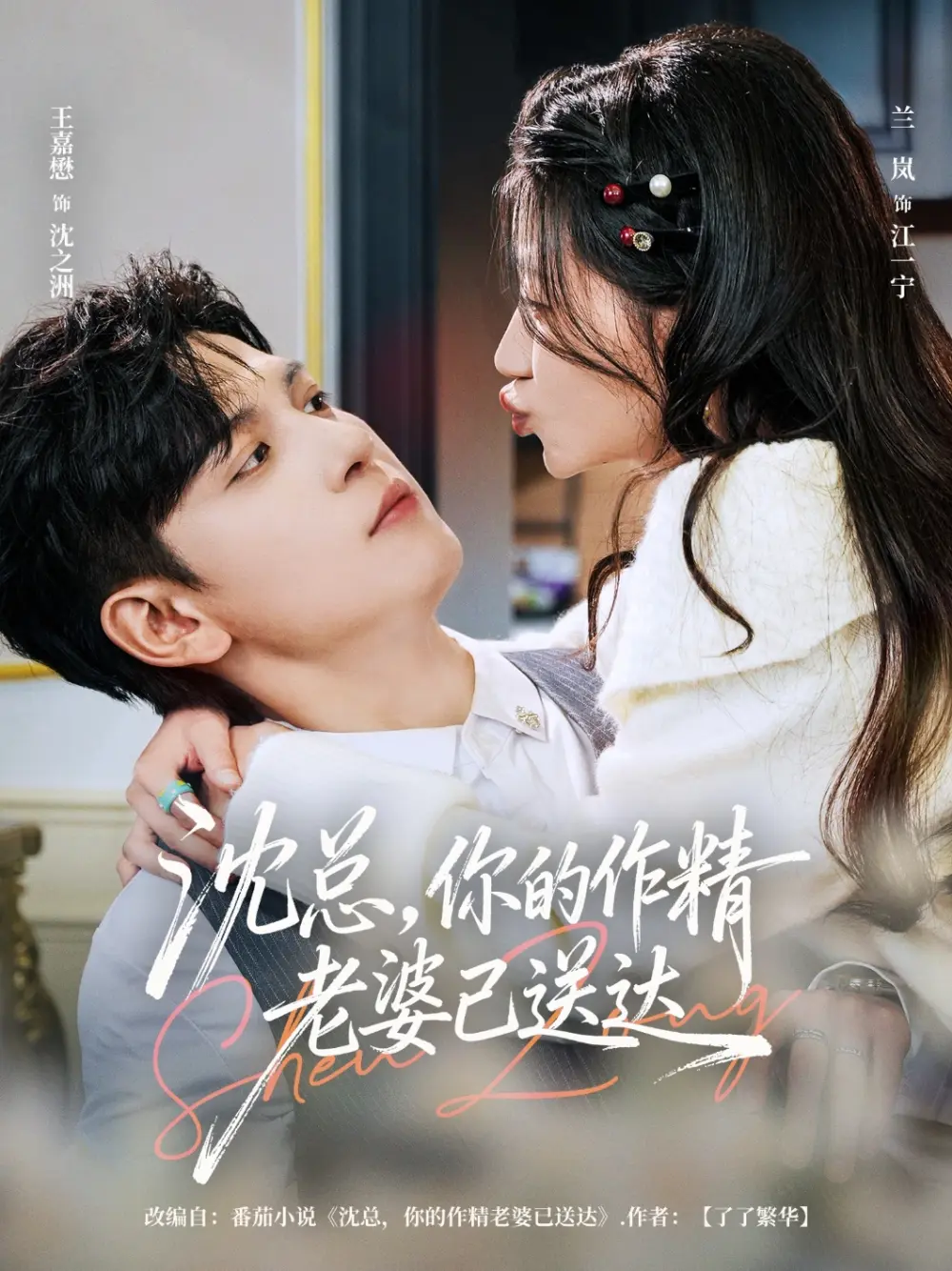 《沈总，你的作精老婆已送达》全94集高清在线观看-王嘉懋兰岚主演短剧完整版-无删减免费播放资源百度网盘下载