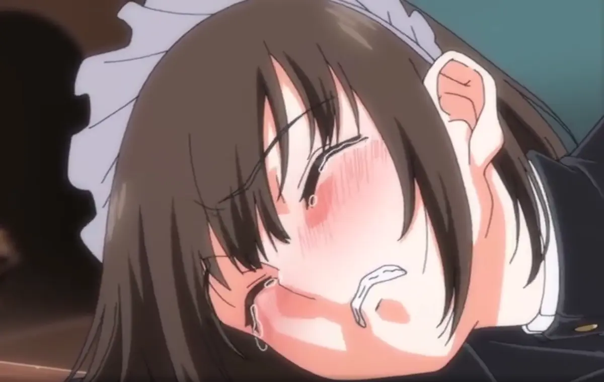 《没落贵族琉璃川2》全集高清版 - 未删减内容免费看 - 流畅画质无广告 - 小野寺律角色专题同步更新