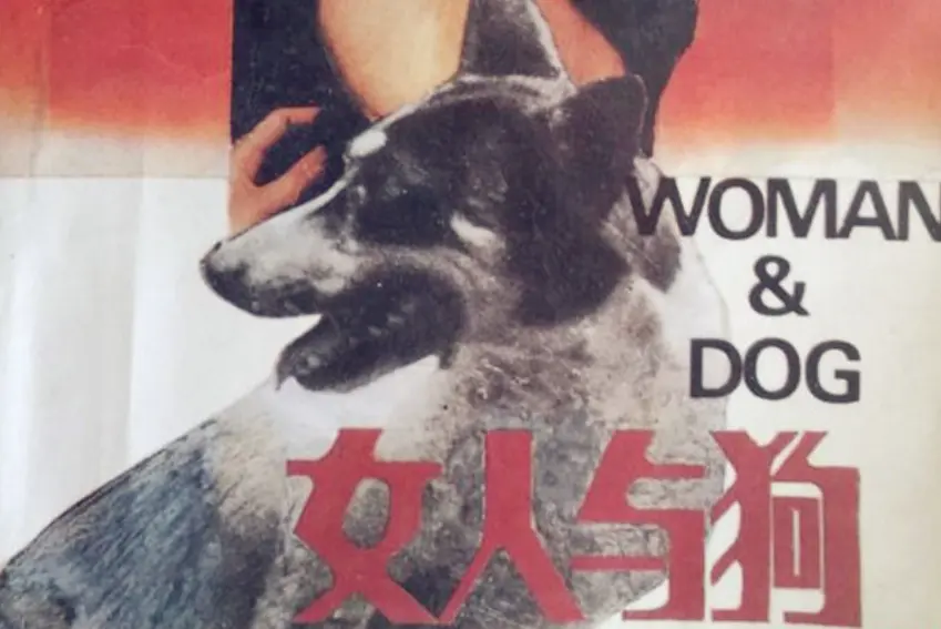 《女人与狗》俄罗斯电影完整版-无广告高清在线观看-《女人与狗》全集中文字幕免费看