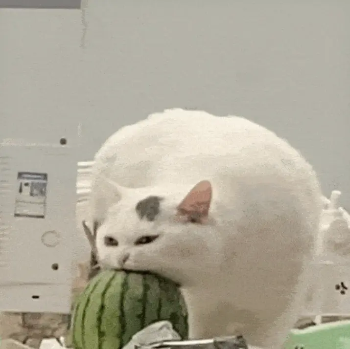 资源图片
