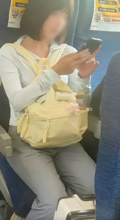 高铁短发女孩54秒原视频后续-《高铁短发女孩》高清完整版-网盘资源下载-百度云/夸克迅雷UC阿里云资源