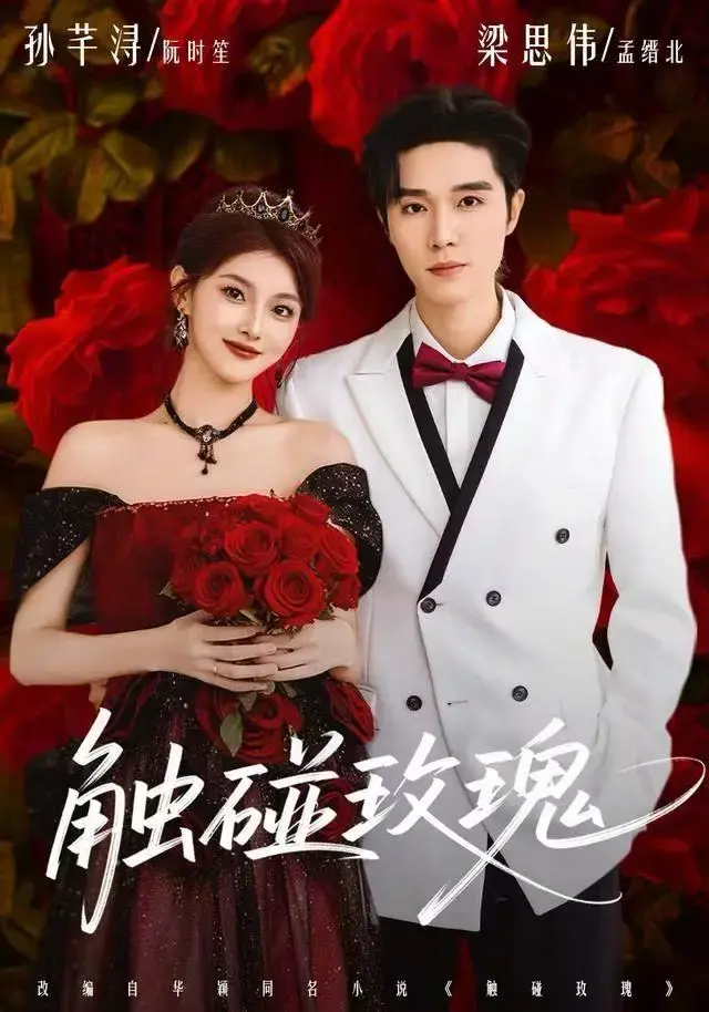 《触碰玫瑰》全季完整版免费观看-高清1080P无广告在线播放-《触碰玫瑰》无删减中字资源百度云/夸克网盘下载