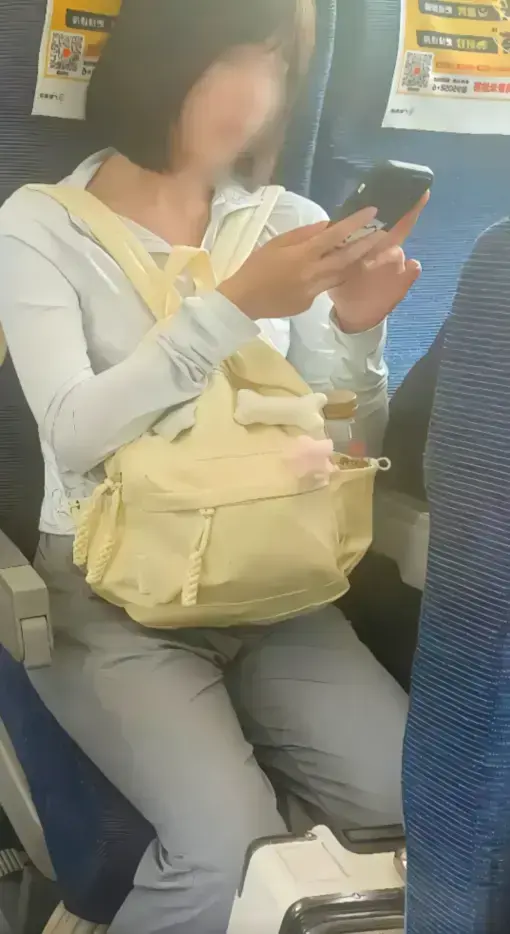 《高铁短发女孩原视频》1080P高清播放-深度解读高铁妹子梗-网盘资源多平台下载-后续内容第一时间更新