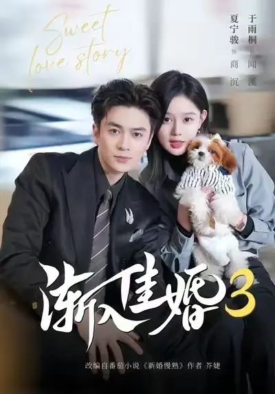 《渐入佳婚3》全集高清无删减在线观看-免费播放