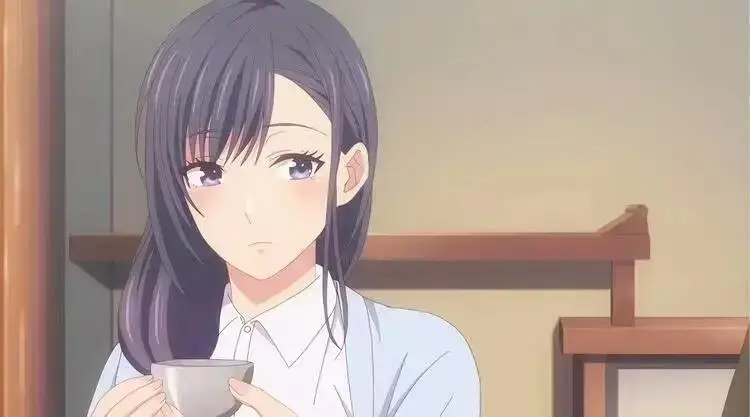 夫妇联谊～回不去的夜晚～～全集动漫在线看-高清1080P中字未删减版-樱花动漫免费观看