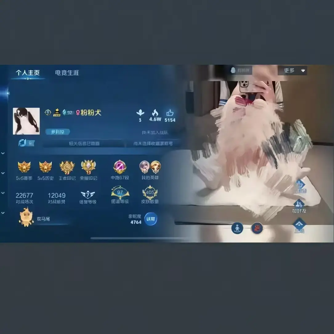 《粉粉犬王者荣耀主页》1080P无删减 - 粉粉犬王者视频全集播放 - 皮肤国标攻略高清流畅-流星影院