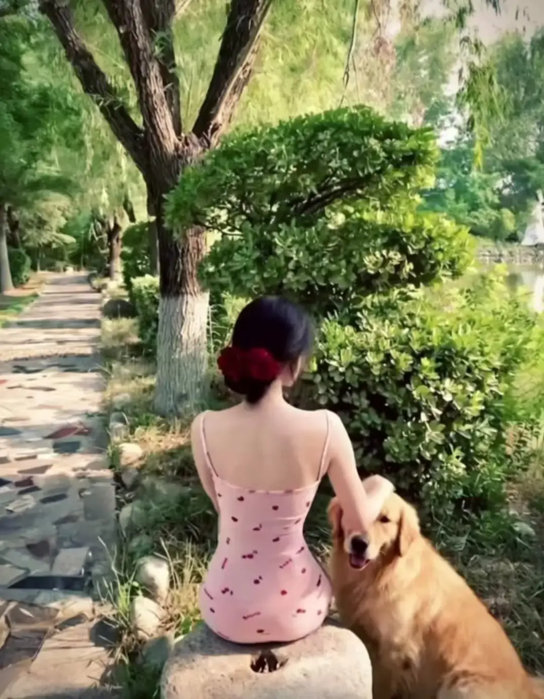 资源图片