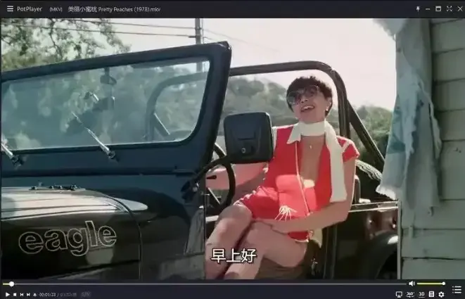 《美丽小蜜桃》未删减版高清中字在线看-1978年美国复古喜剧电影-《美丽小蜜桃》完整版免费观看无广告