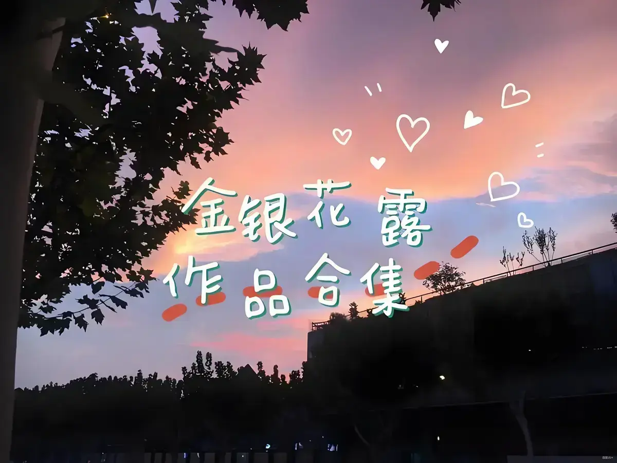 金银花露的所有书《乐可》《困苦人生路》《大小剑师》全集-高清文字版在线阅读支持下载