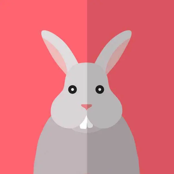 2025韩剧《性课程》高清完整版在线观看-剧情片性课程全集免费播放-1080P高清画质无广告流畅观看